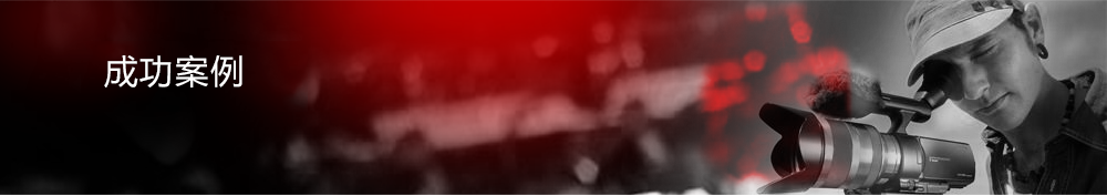 成功案例