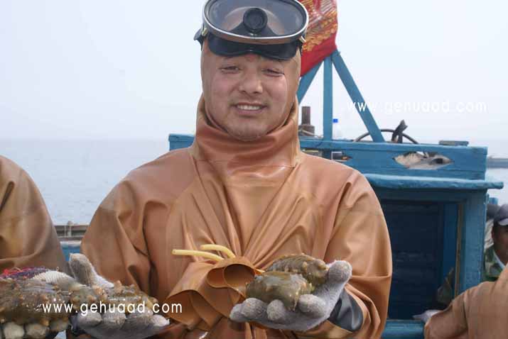 財(cái)神島海參企業(yè)宣傳片拍攝花絮